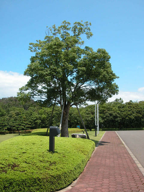 外の景色も違います